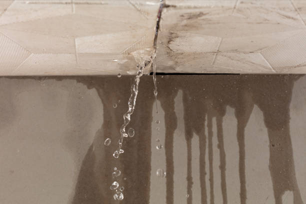 Professional Burst Pipe Cleanup technician working in Davenport, FL